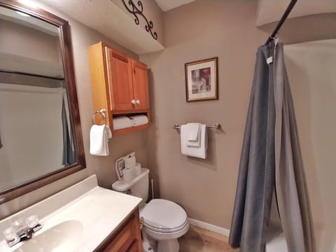 Valley Condo 106 - Creekside - WiFi - Hot Tub - Fireplace - Washer - Dryer - Playground House in Red River