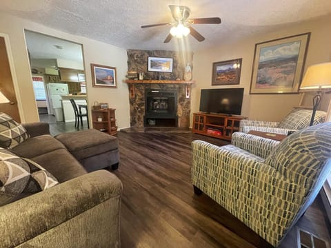 Day, TV and multimedia, Living room, Seating area, fireplace, furniture