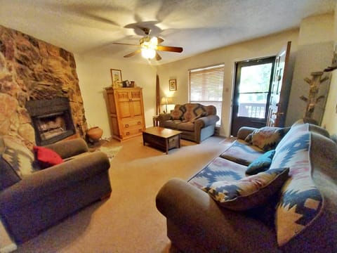 Valley Condo 124 - Creekside - WiFi - Hot Tub - Fireplace - Washer - Dryer - Playground House in Red River