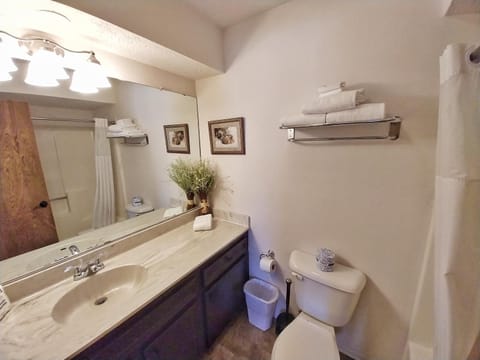 Valley Condo 126 - Creekside - WiFi - Hot Tub - Fireplace - Washer - Dryer - Playground House in Red River