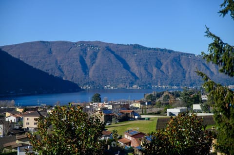 Lake view