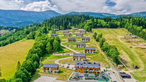 Property building, Neighbourhood, Bird's eye view