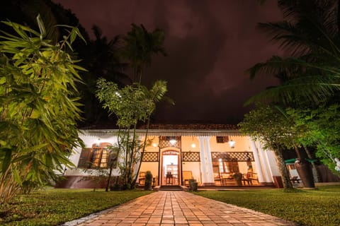 Night, Garden view