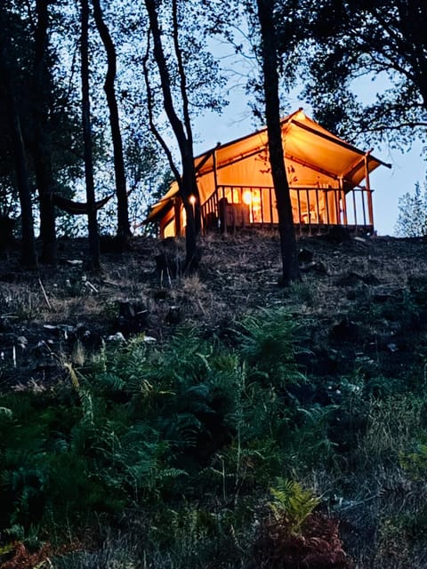 Lodge A NASSA Luxury tent in Corsica