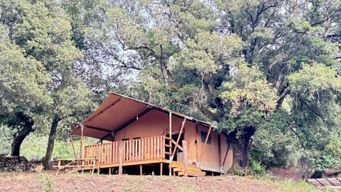 Lodge A NASSA Luxury tent in Corsica