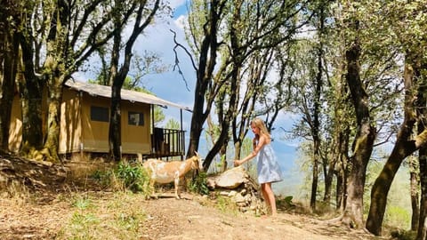 Lodge A NASSA Luxury tent in Corsica