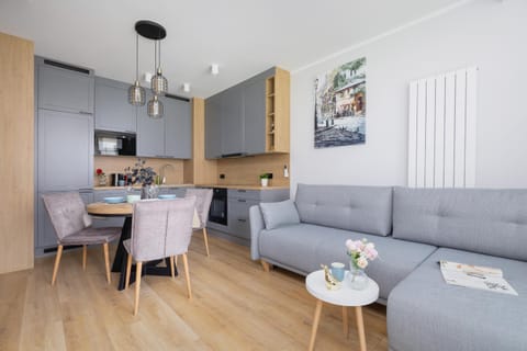 Kitchen or kitchenette, Living room, Seating area, Dining area, stove