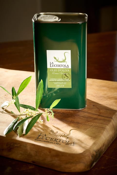 La Lucertola House in Lucca