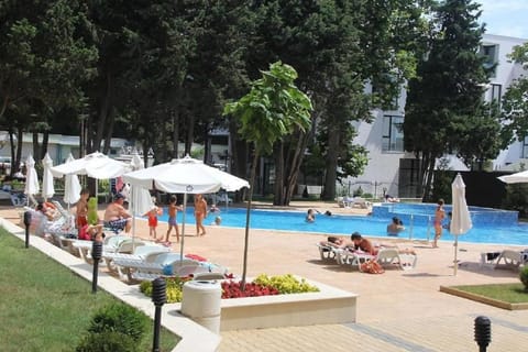 Natural landscape, Garden, Pool view, Swimming pool, sunbed