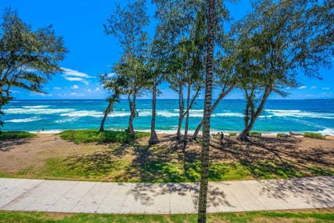 Islander on the Beach 328 Apartment in Waipouli Beach