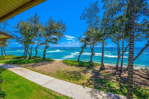 Islander on the Beach 328 Apartment in Waipouli Beach