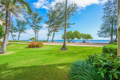 Islander on the Beach 163 Apartment in Waipouli Beach