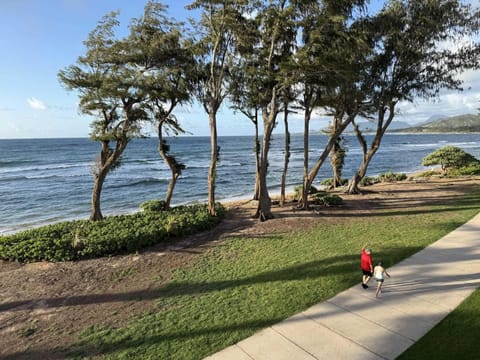 Islander on the Beach 323 Apartment in Waipouli Beach
