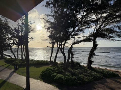 Islander on the Beach 323 Apartment in Waipouli Beach