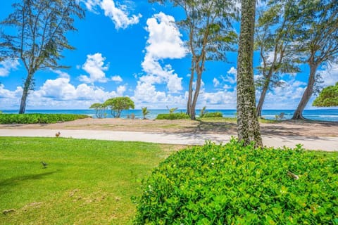 Islander on the Beach 152 Apartment in Waipouli Beach