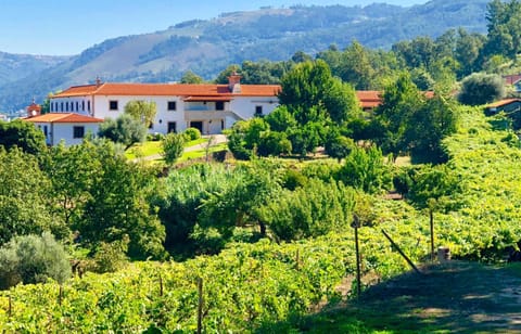 Property building, Garden, Garden view