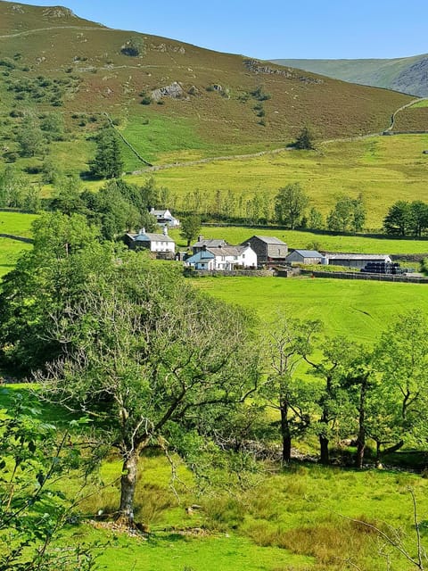 Patio, Garden, Garden view