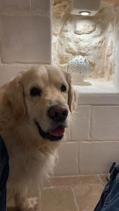 Atagio luxury room Bed and Breakfast in Ostuni