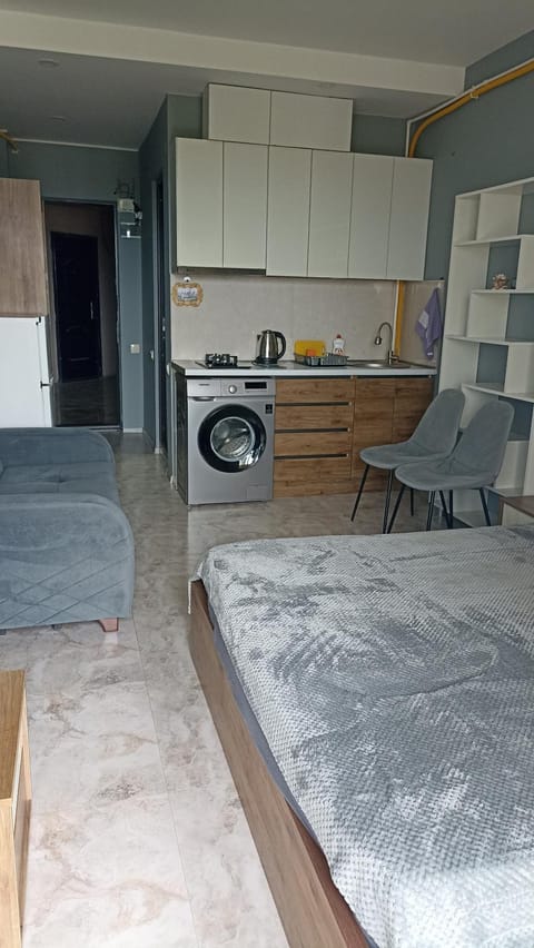 Living room, Photo of the whole room, Seating area, washing machine