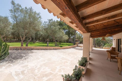 Property view