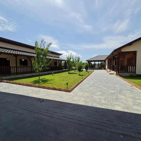Day, Garden, Garden view