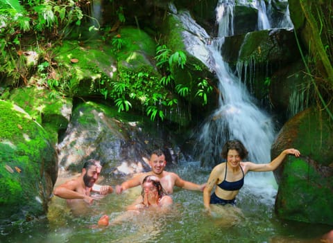 Natural landscape, group of guests