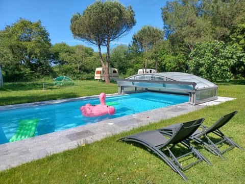 Garden, Garden view, Pool view, Swimming pool, Swimming pool, sunbed