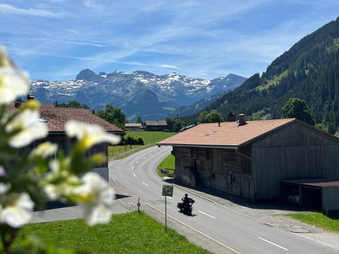 Ferienwohnung Klou Apartment in Canton of Valais