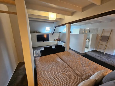 Communal lounge/ TV room, Bed, TV and multimedia, Living room, Photo of the whole room, Seating area, Evening entertainment, Bedroom