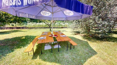 Patio, Garden, Garden view