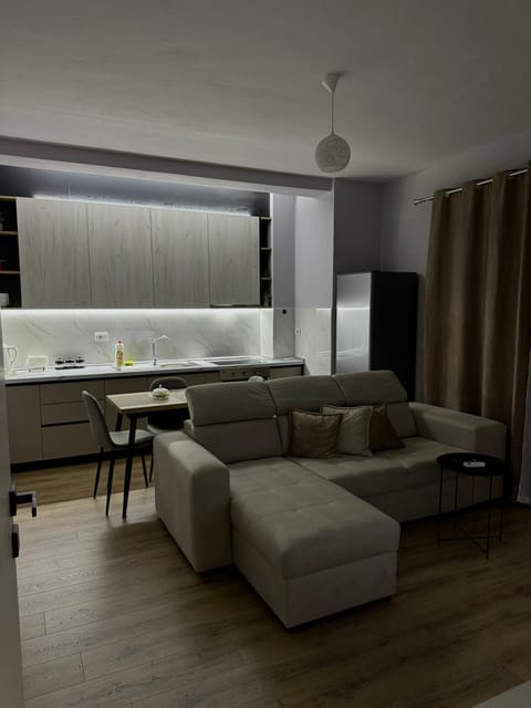 Kitchen or kitchenette, kitchen