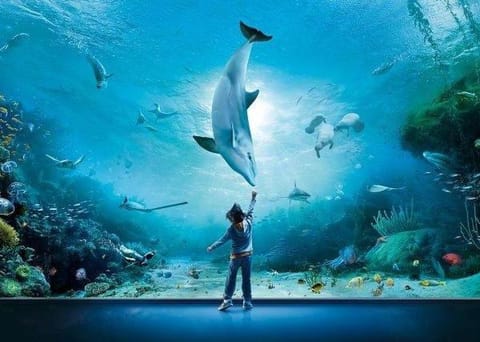 Oceania B&B Bed and Breakfast in Genoa