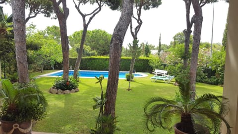 Garden, Pool view