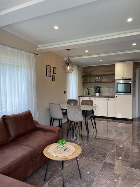 Kitchen or kitchenette, Living room, Seating area, Dining area, oven, stove
