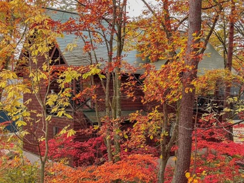 Day, Natural landscape, Garden, Garden view