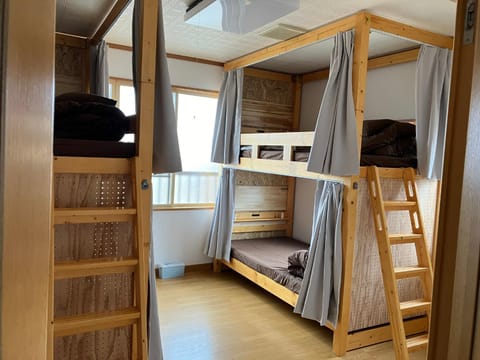 Bed, Photo of the whole room, Bedroom, bunk bed