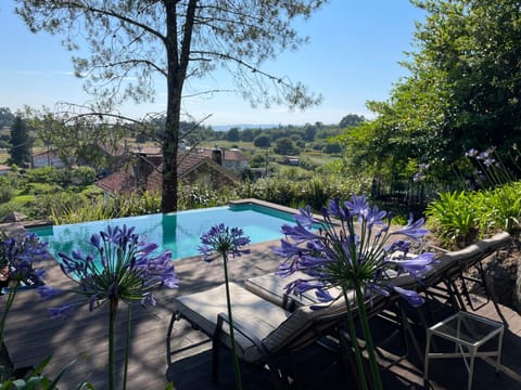 Garden, Garden view, Pool view, Swimming pool, sunbed
