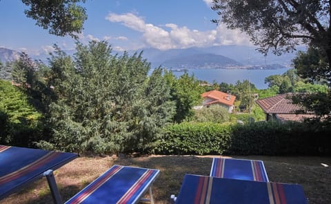 Lake view