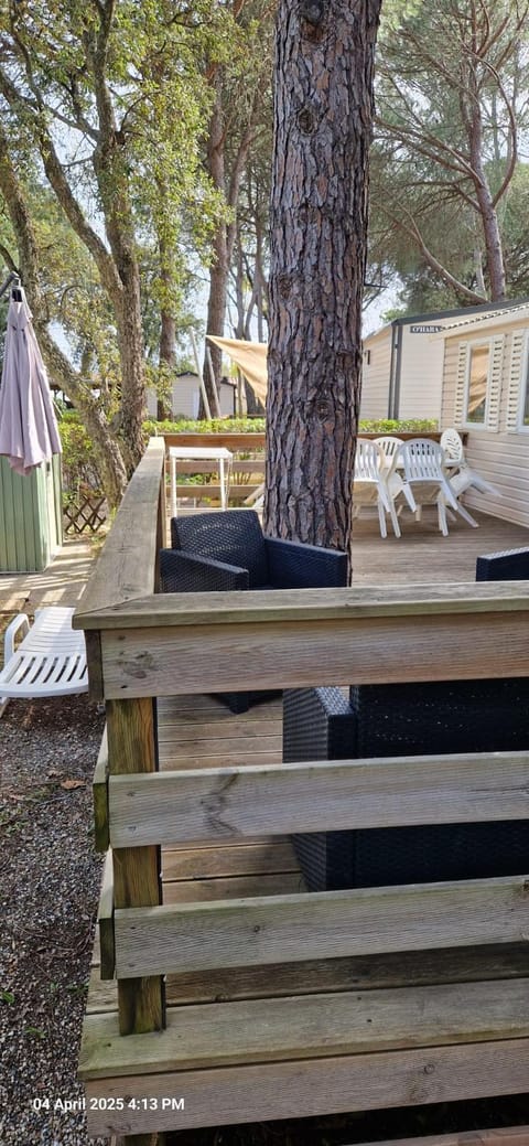 La Baume La Palmeraie Camping Resort Campground/
RV Resort in Fréjus