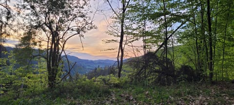 Natural landscape