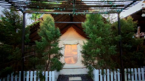 Garden, Garden view