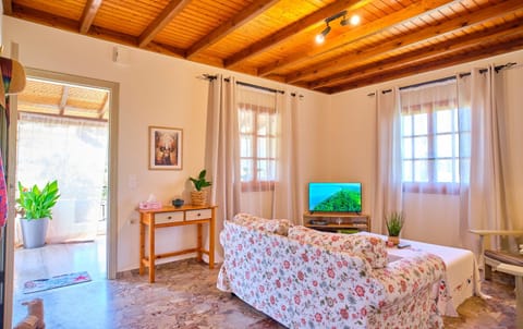 Communal lounge/ TV room, TV and multimedia