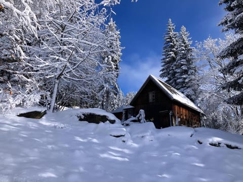 Schell-Hütte Campground/ 
RV Resort in Carinthia, Austria