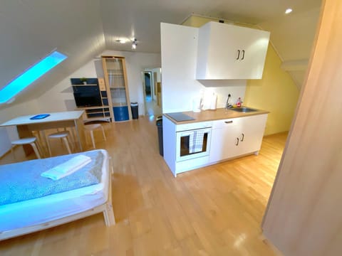 Kitchen or kitchenette, Photo of the whole room