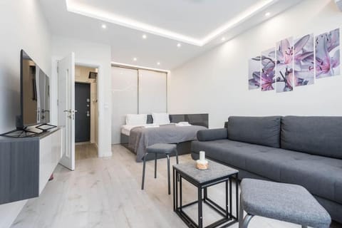 Bed, TV and multimedia, Living room, Photo of the whole room, Bedroom