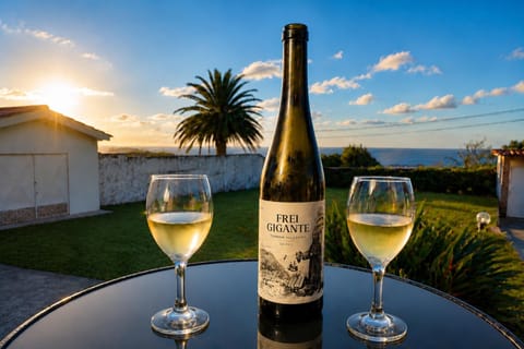 Natural landscape, Sea view, Drinks