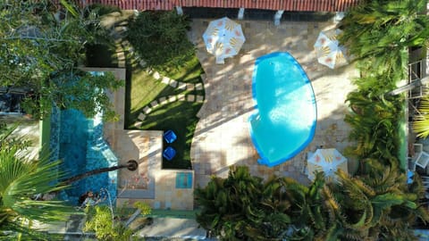 Garden, Garden view, Pool view, Swimming pool