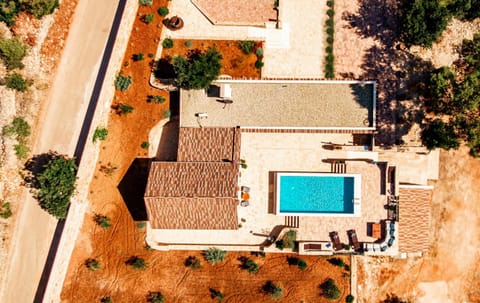 Property building, Bird's eye view