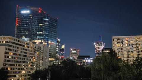 View (from property/room), City view