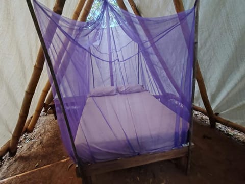 Balamjuyuc Cabañas y Ecohostel Bed and Breakfast in State of Oaxaca